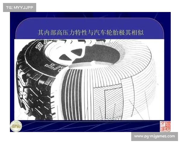 脊柱生物力学新研究揭示攀岩选手发育期科学训练的关键窗口 脊柱生物力学新研究揭示攀岩选手发育期科学训练的关键窗口