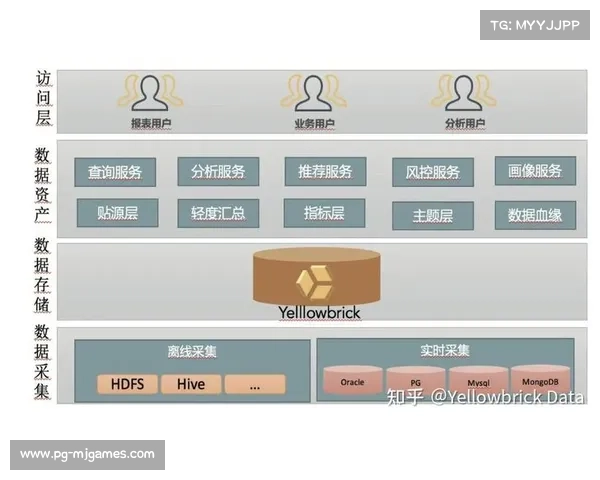 体育服务机构强化数据中台建设，用户需求响应速度提升。